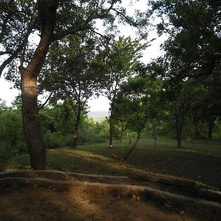 Udawalawe Wildlife & Nature Protection Bungalow المظهر الخارجي الصورة
