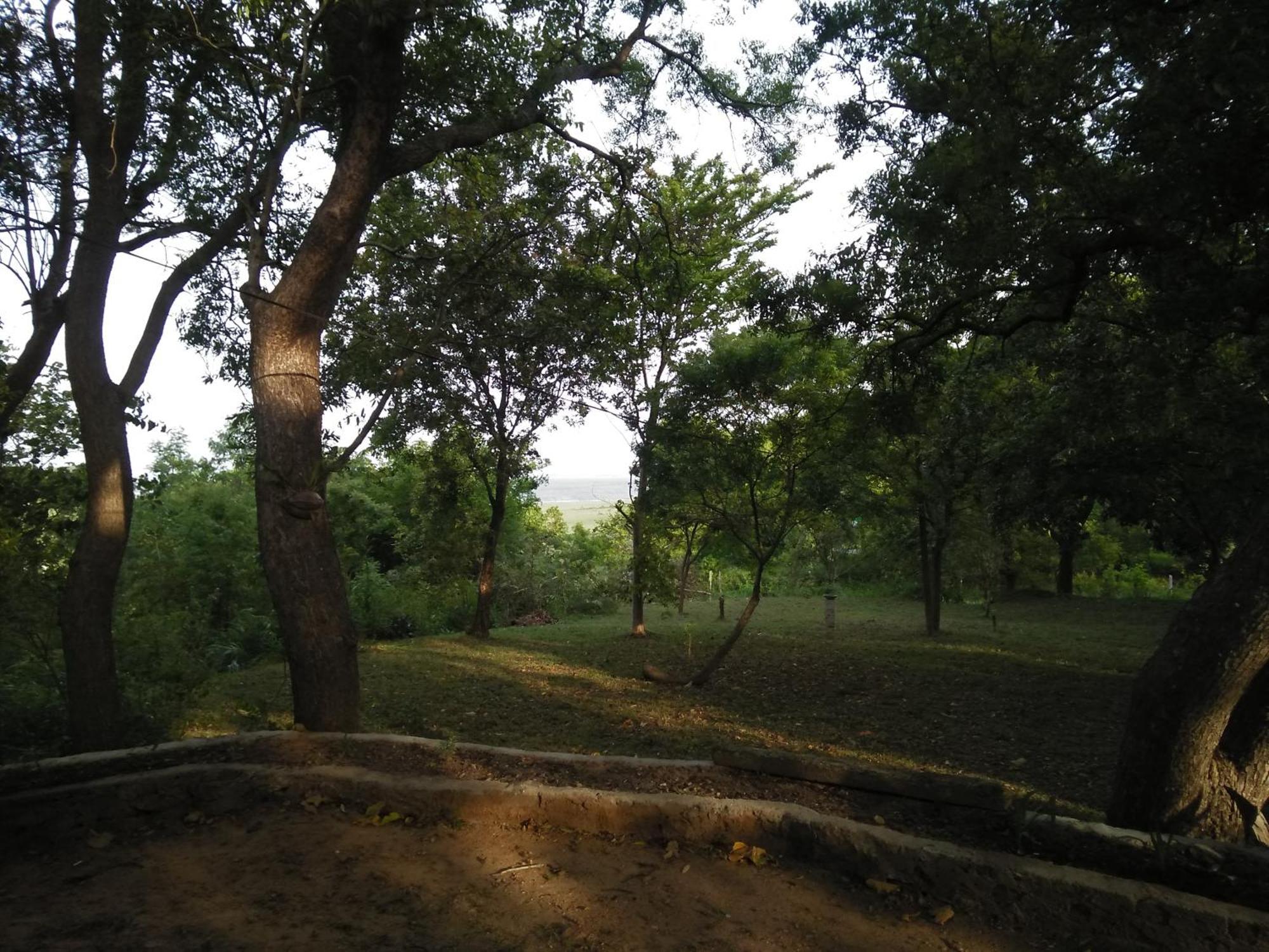 Udawalawe Wildlife & Nature Protection Bungalow المظهر الخارجي الصورة