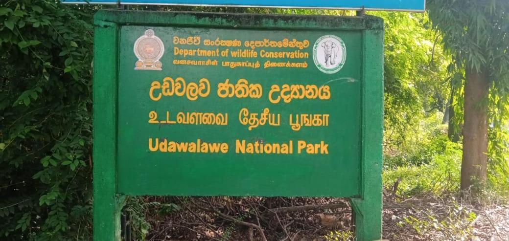 Udawalawe Wildlife & Nature Protection Bungalow المظهر الخارجي الصورة